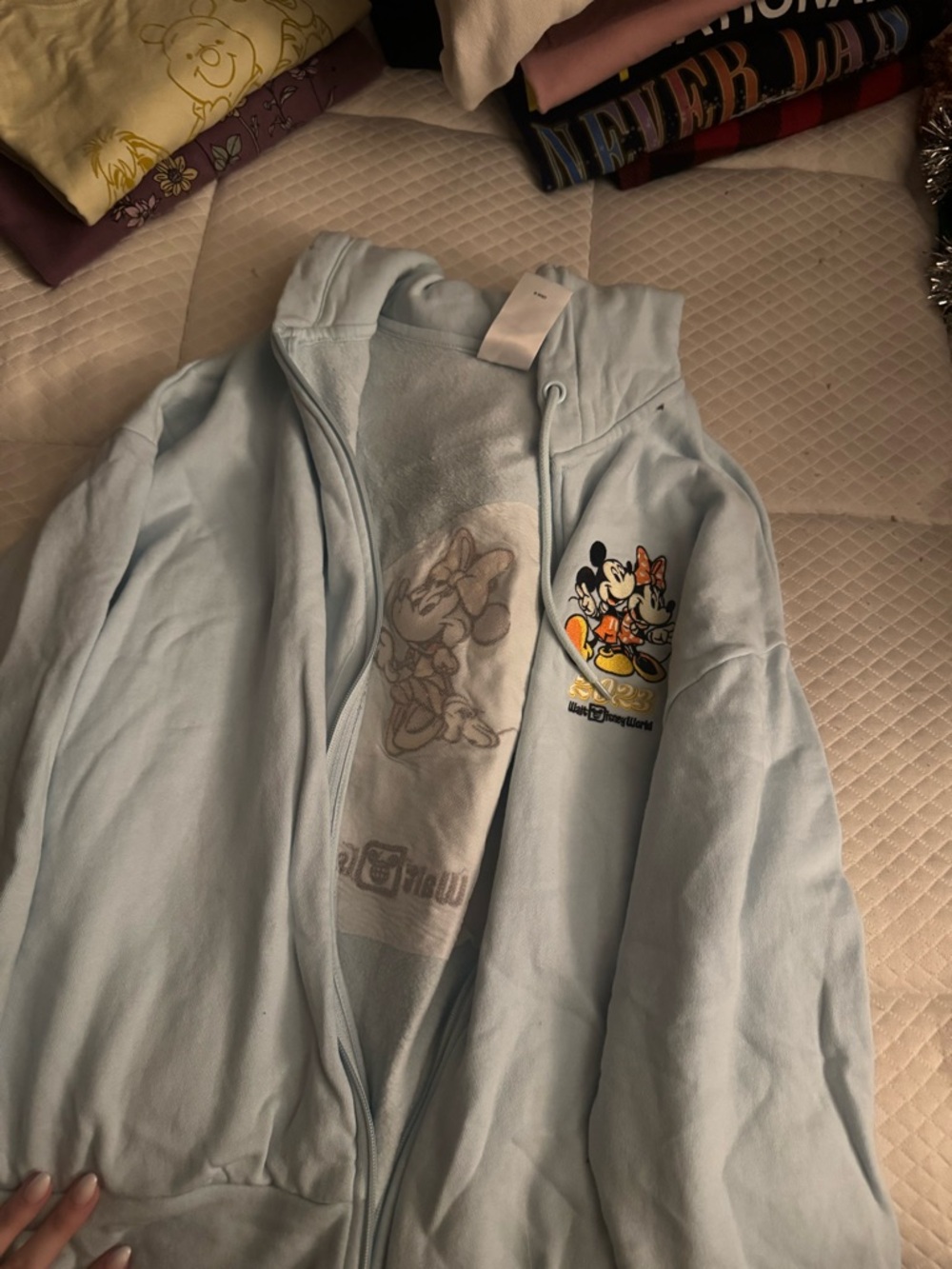 2023 Disney world zip up
